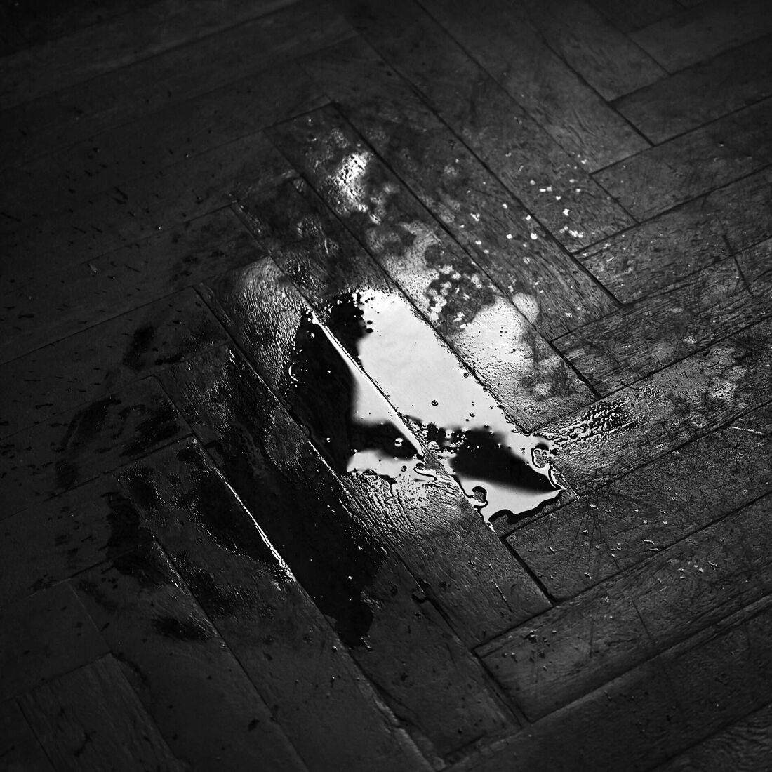 Мобильная фотография, 2024