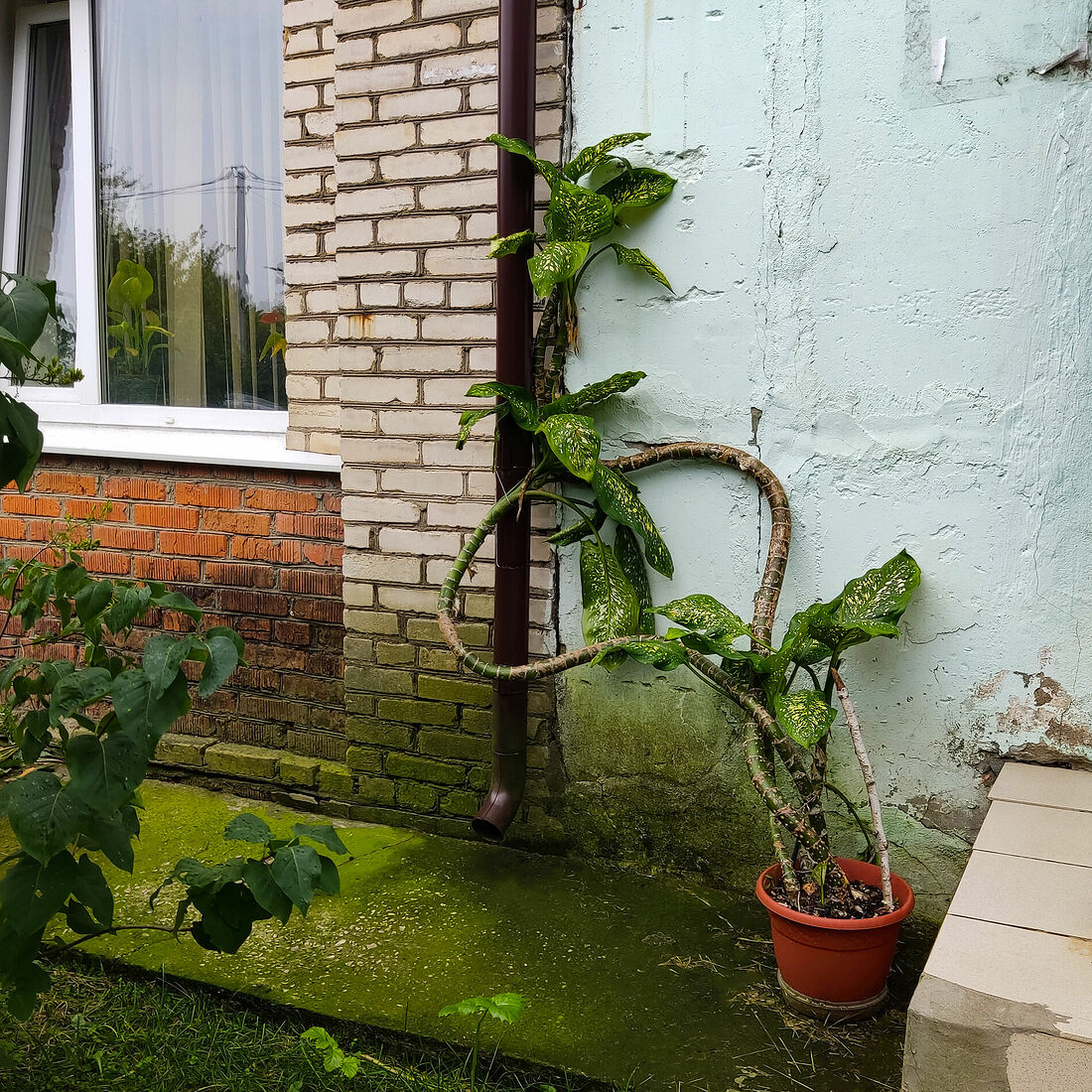 Мобильная фотография, 2021