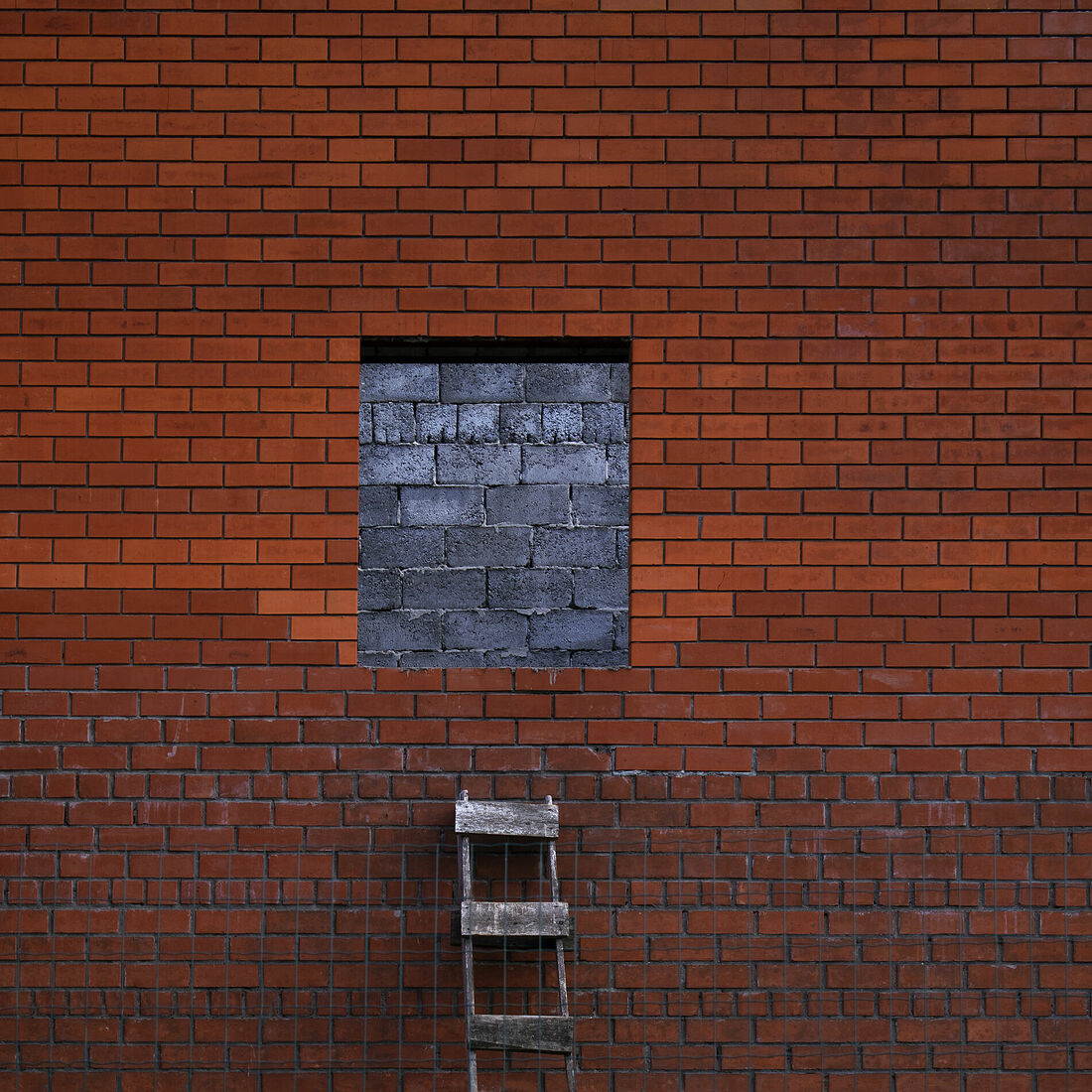 Мобильная фотография, 2021