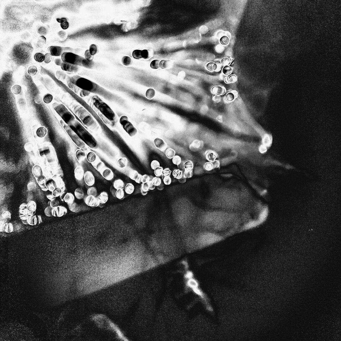 Мобильная фотография, 2023