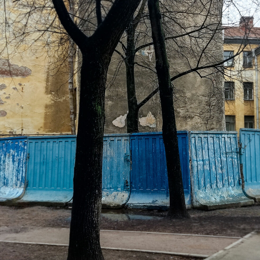 Мобильная фотография, 2024