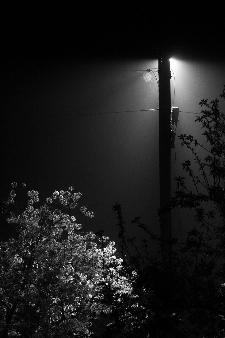 Мобильная фотография, 2020